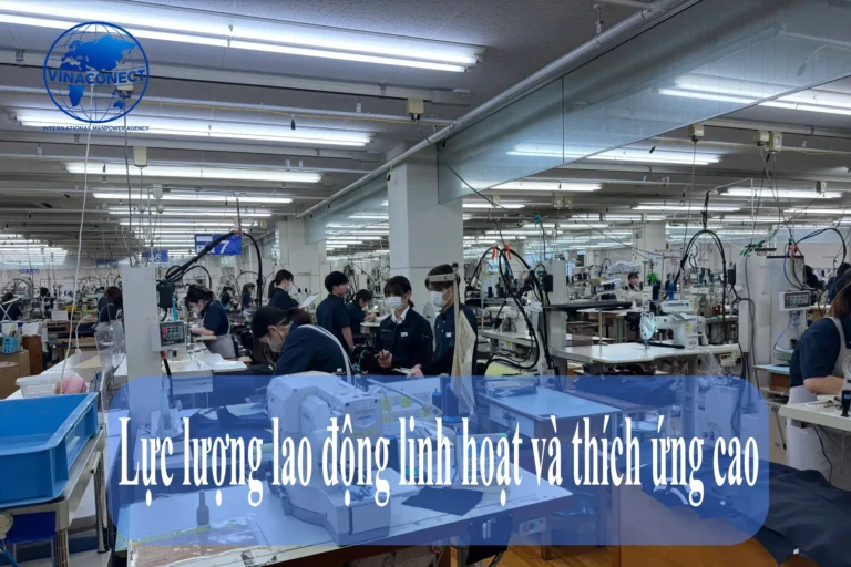 Dịch vụ cung ứng nhân lực là gì? 5 lợi ích cho doanh nghiệp