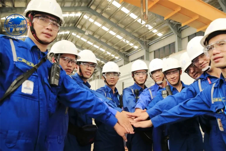 VINACONECT – ĐỐI TÁC CUNG ỨNG NHÂN LỰC VIỆT NAM CHO DOANH NGHIỆP QUỐC TẾ